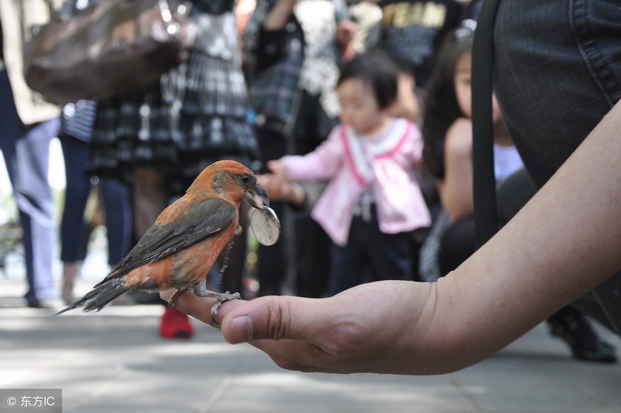 前男友是富二代视频,老公前女友是个富二代