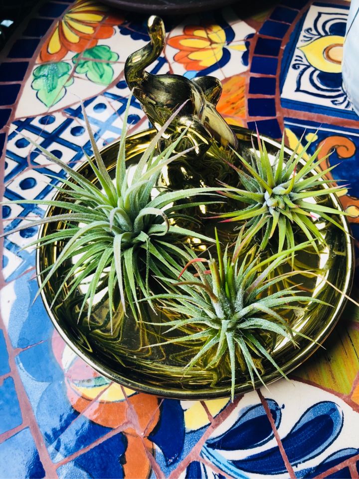 房屋里坏了什么由房东修理,房主家东西坏了该谁修