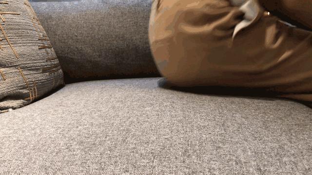 好沙发怎样鉴定,怎样挑选沙发的质量好坏