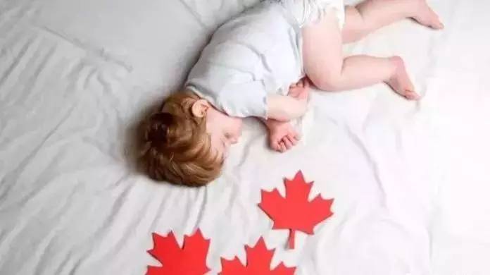 你还在操心孩子的奶粉钱，加拿大“牛奶金”却已开始大涨！