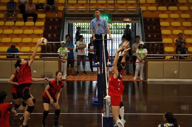 省运会精彩瞬间回顾激情不断,省运会回顾