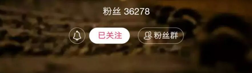 纯干货破点,纯干货方便又营养