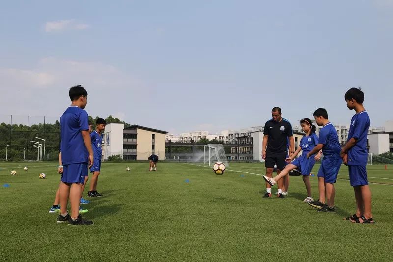 小候鸟公共文化之旅,小候鸟来广州怎么玩