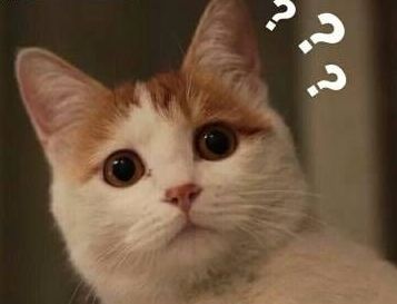 台风山神去世,台风山神有多强