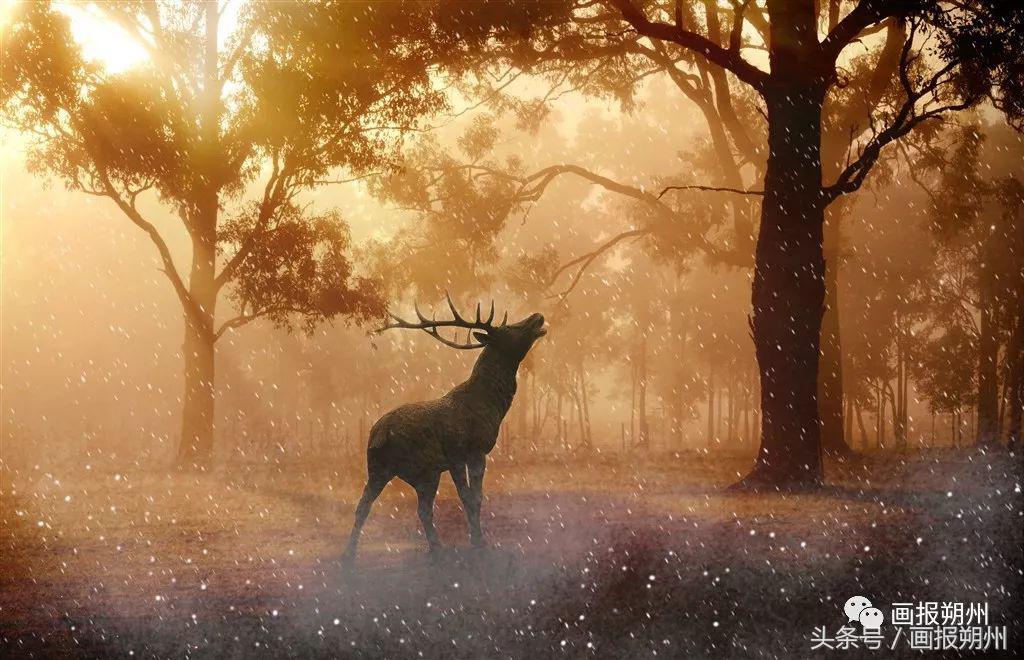 画说节气,画新闻看新闻