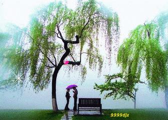 每日一歌红颜知己完整版,每日歌曲推荐红颜知己