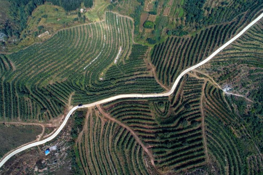 担当实干奋勇争先,玉田县工作报告