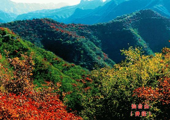 我们向全世界发出邀请！2019，欢迎您来到石家庄！