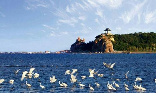 秦皇岛抚宁县免费旅游景点大全,秦皇岛旅游景点大全门票价格