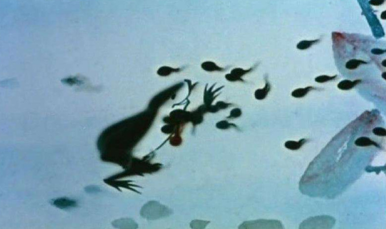 盘点那些陪伴我们十年的动画片,这些都是你曾经追过的动画片