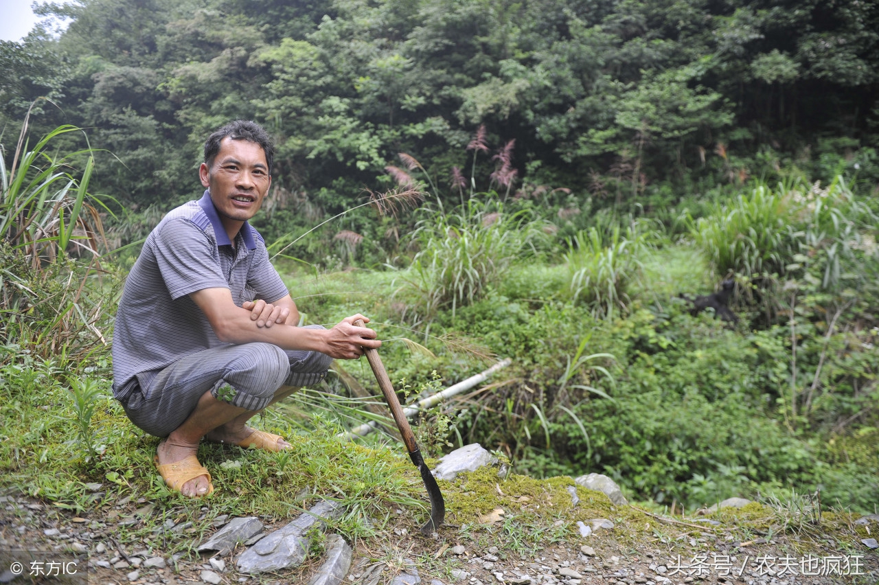 农村老人常说“前妻如草，后妻如宝”，是什么意思，有道理吗？