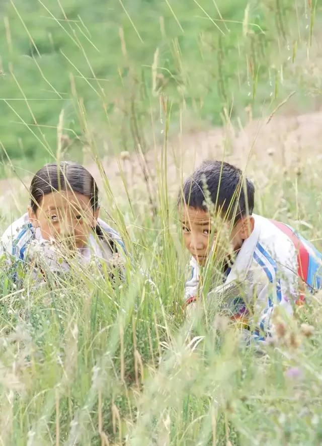 看片1312部,理想很美好,现实很骨感