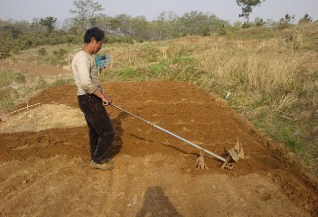 不愿意打工怎么赚钱,不想打工了在农村做点什么生意好