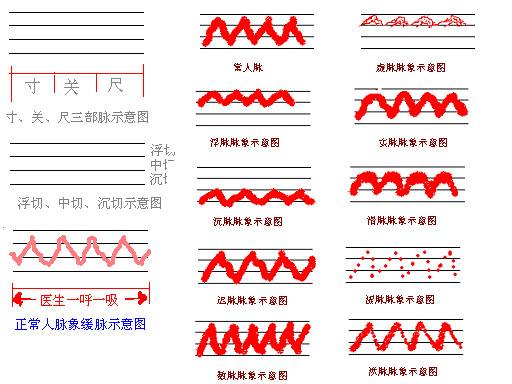 中医诊断学脉诊4,中医诊断学脉诊教学视频