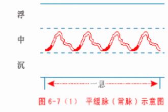 中医诊断学脉诊4,中医诊断学脉诊教学视频