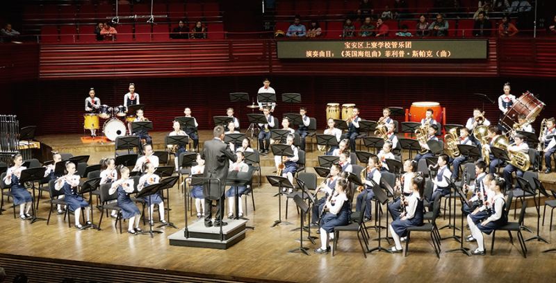 把动物看成一种乐器有哪些,如果把你比作一种动物你就是天鹅