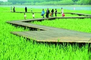 疏解非首都功能政策,抓住城市治理的牛鼻子