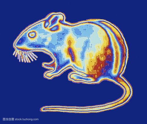 手机辐射到底有多大,手机辐射大还是电视辐射大