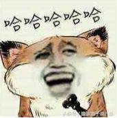 评价港版101,港版101官方吐槽