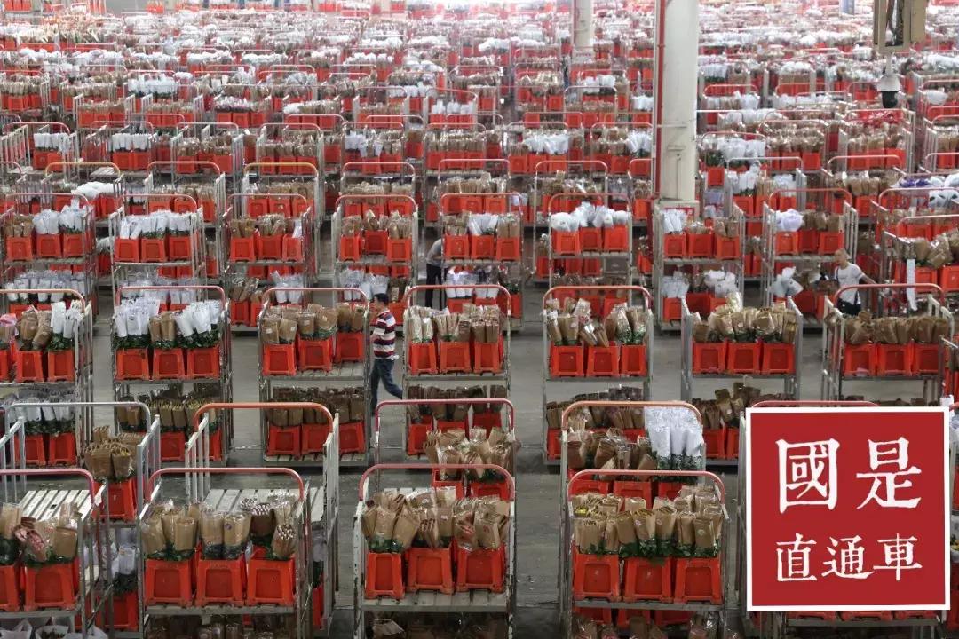 云南有一条街都是花,云南只有一条街的城市