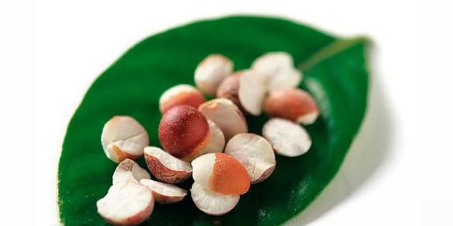 荷花淀最大的特色,荷花淀都有哪些美