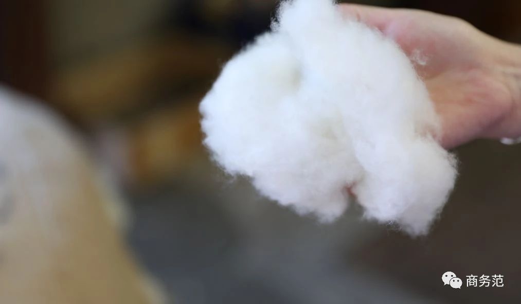 英国必买品牌推荐,去英国必买的十大品牌