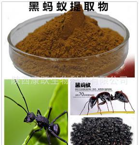 蚂蚁能治风湿病吗,山蚂蚁能治类风湿性关节炎吗