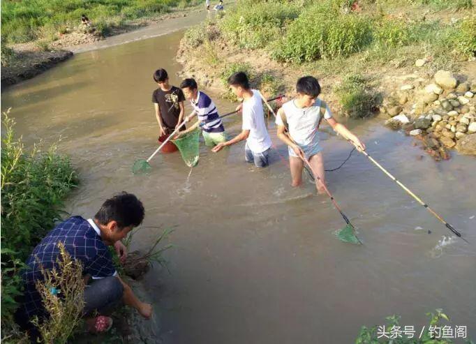 被电过的地方怎么钓鱼,被电过的野河怎么钓鱼
