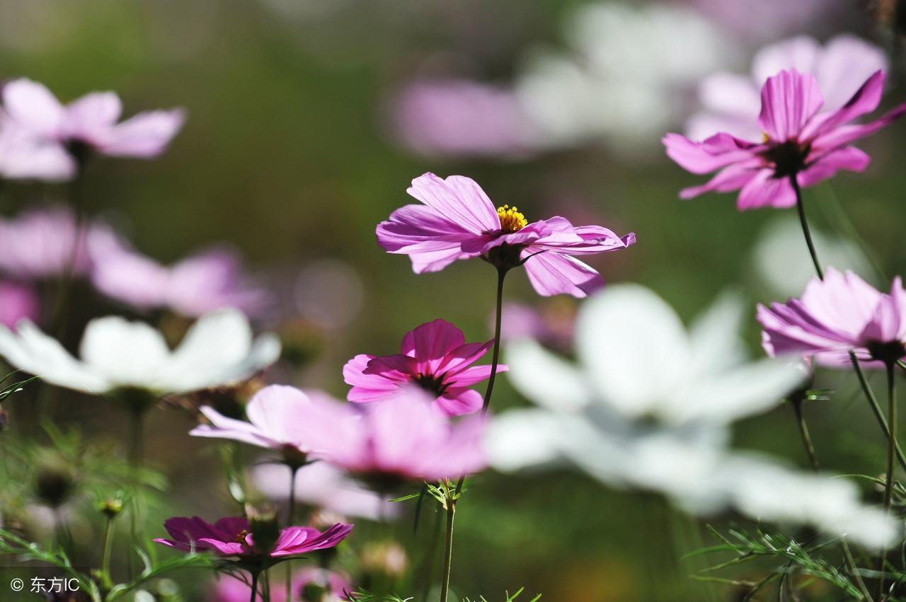 鐖辫繃鐤繃鐥涜繃鍝繃鐑﹁繃鎬掕繃,鐖辫繃鐤繃鐥涜繃鍝繃鐑﹁繃鎬掕繃鎭ㄨ繃