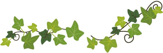 花之声杜鹃花,花之声歌曲