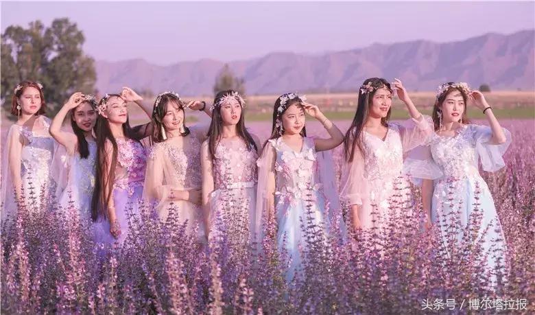 投票啦！快来支持你喜欢的紫苏仙子吧！