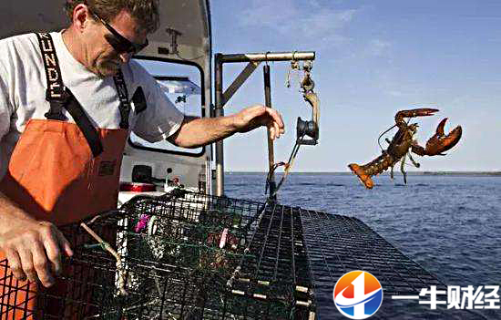 特朗普美国大豆,特朗普大豆最新政策