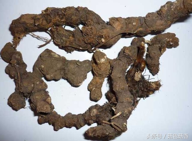 小孩可以长期泡各种草药吗,儿童凉血止痒的洗澡草药