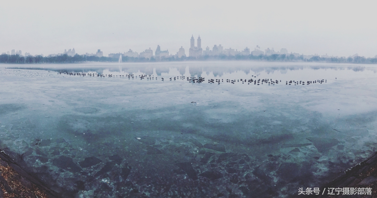 2020年ipa摄影奖获奖作品,ippa摄影大赛获奖作品2010