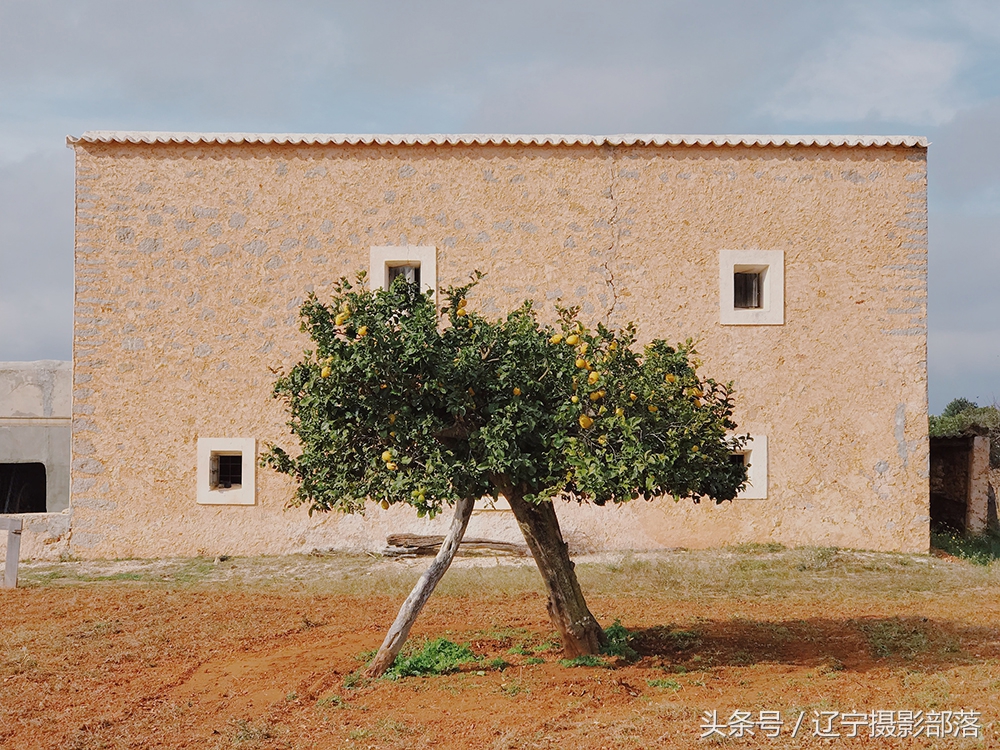 2020年ipa摄影奖获奖作品,ippa摄影大赛获奖作品2010