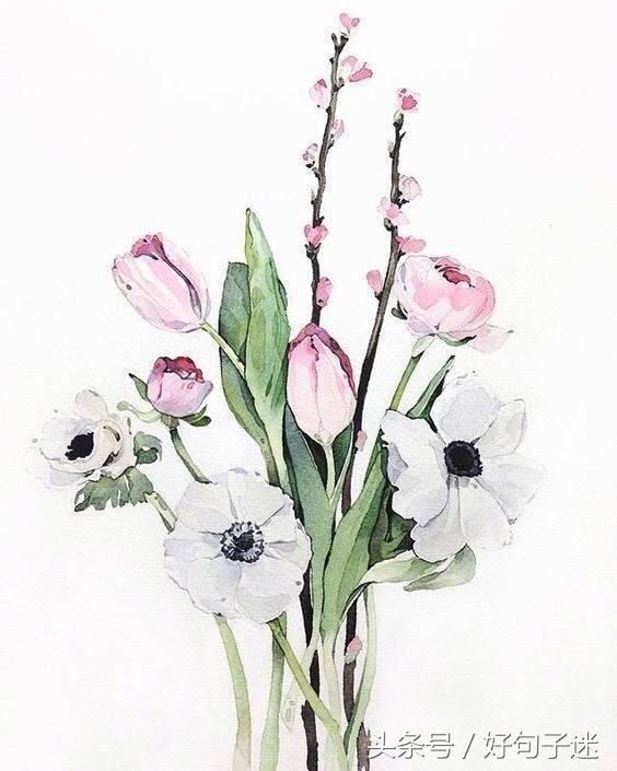 亦舒经典语录10句,亦舒经典语录100句