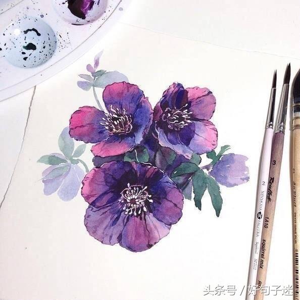 亦舒经典语录10句,亦舒经典语录100句