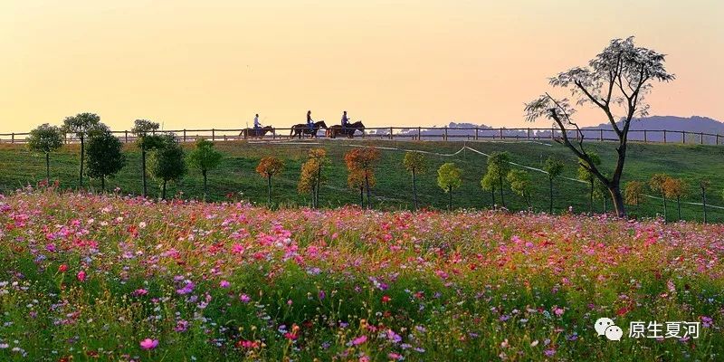 甘南行首站夏河美景,旅游甘南到了夏河下一站应该到哪
