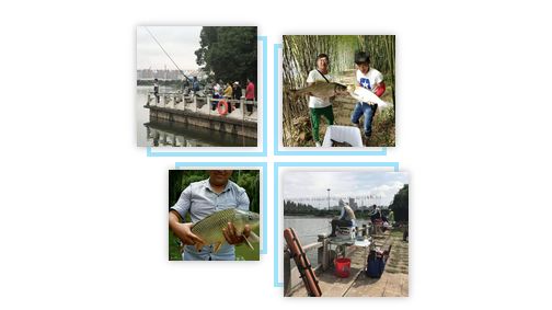 带你探寻最美赛道,名不虚传路演