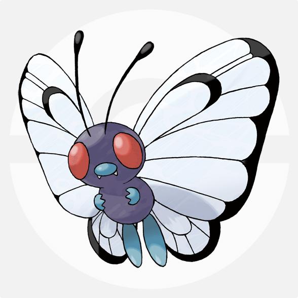 都有哪些宠物小精灵,十大最火的宠物小精灵