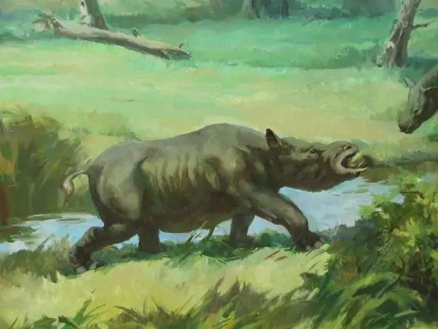 香肠嘴,香肠嘴日常