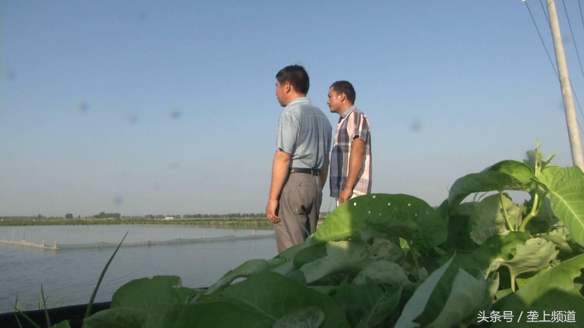 抓捕小龙虾的视频,小龙虾抓捕