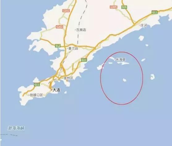 海参你必须知道的那些事,海参市场内幕视频