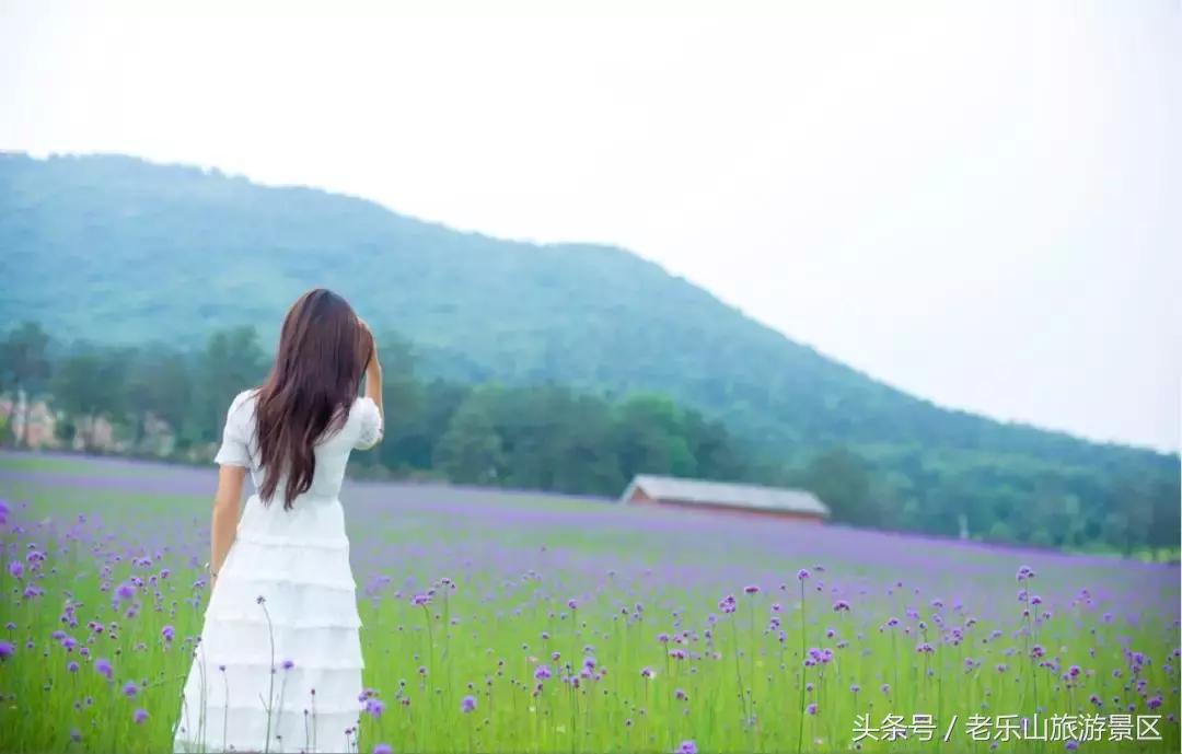 又双叒叕来搞事，解锁“网红”打卡新姿势，老乐山网红走廊等你来