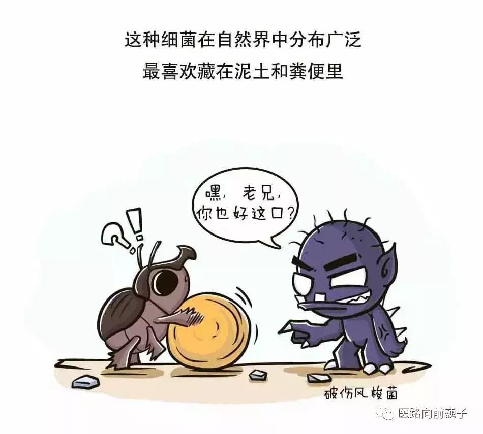 鐮翠激椋庤浼ょ棝闅忛鑰屽幓,鐮翠激椋庣殑浼ょ棝