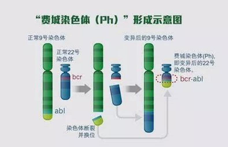 格列卫为什么如此厉害,格列卫为什么这么强