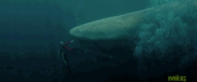 今年暑期档要上映的影片,今年暑期档为什么这么多电影