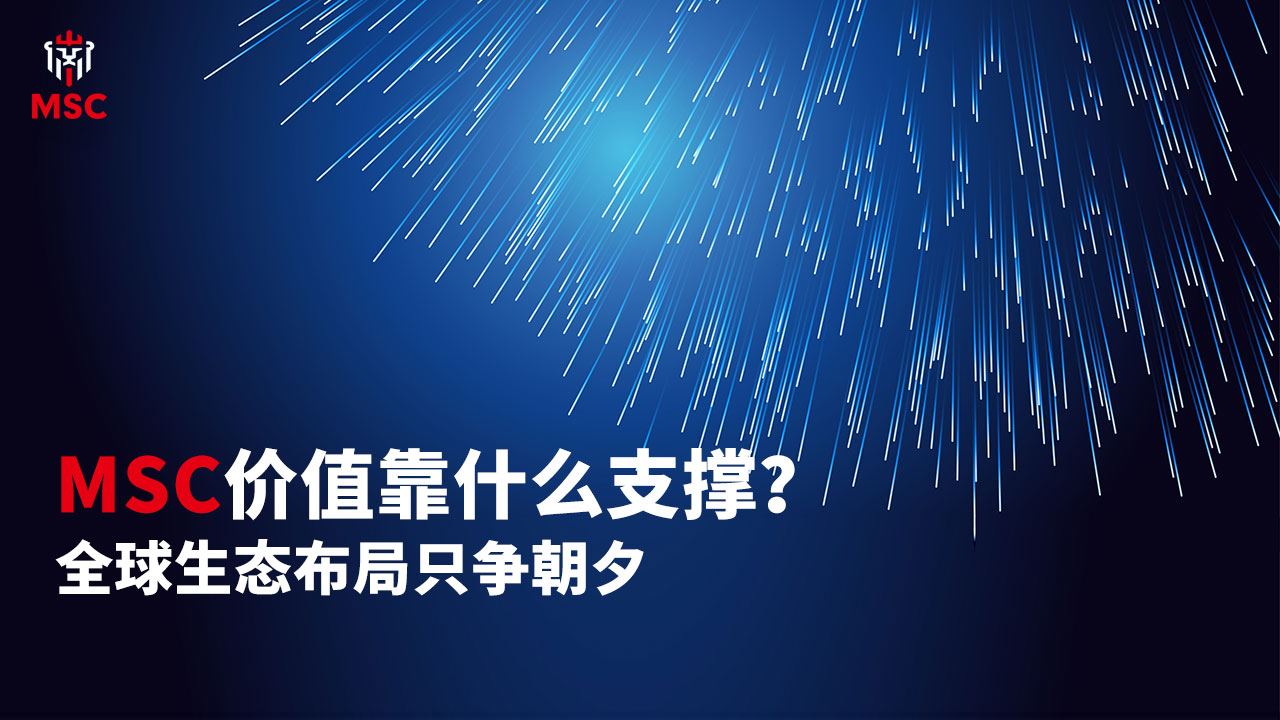 msc为什么便宜,msc排行