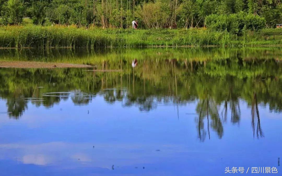 小众又免费！成都地铁直达的天然氧吧！清凉洗肺又解暑！