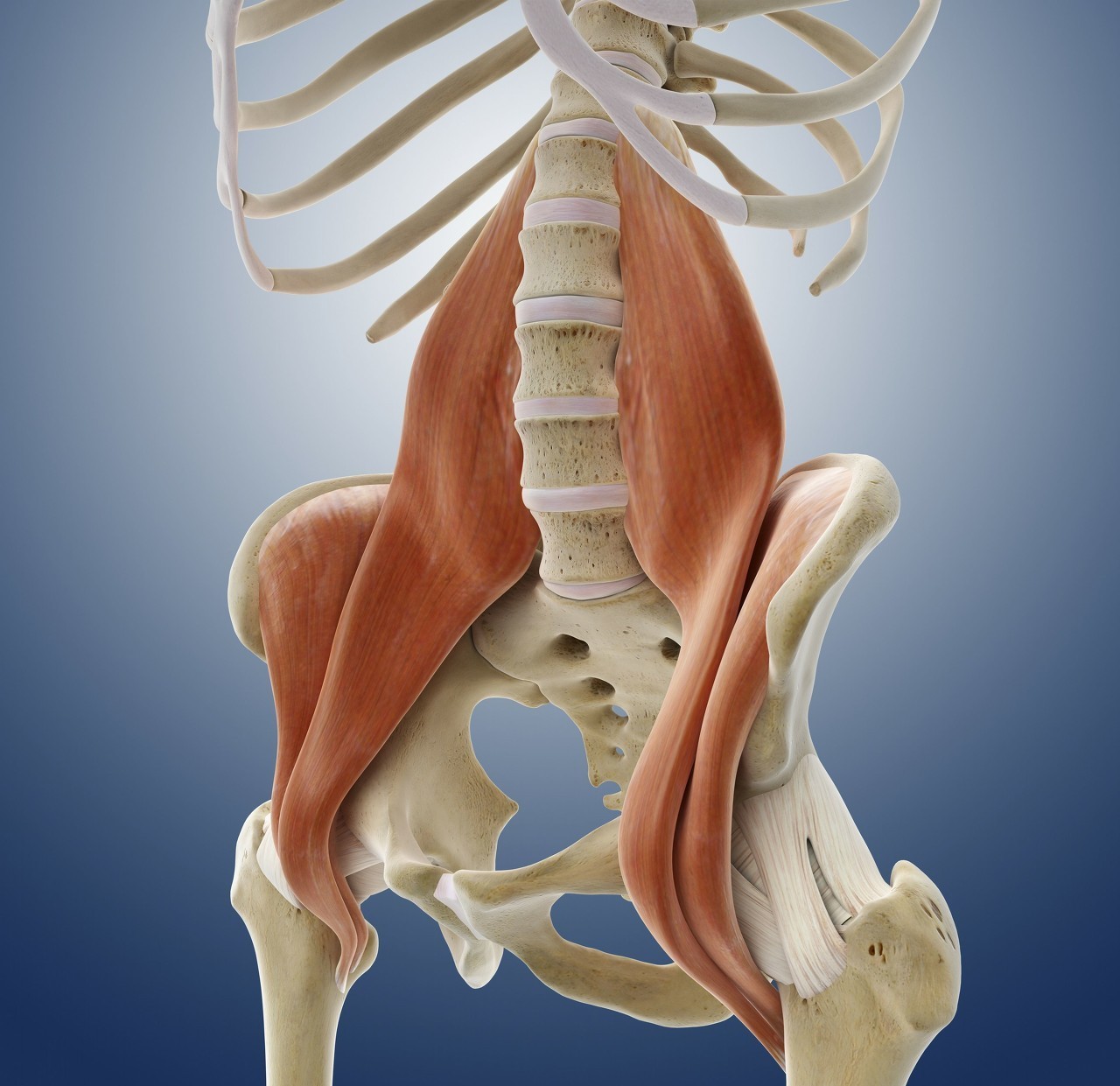 楂傝叞鑲屾媺浼哥殑浣滅敤,楂傝叞鑲岀殑鎷変几鏂规硶鏁欏